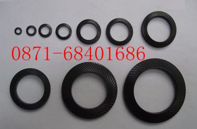 防松碟形彈簧 優(yōu)質(zhì)碟簧 昆明碟簧廠家直銷 防松墊片